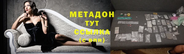 сатива Ельня