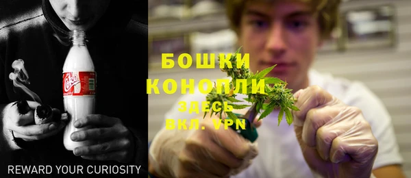 сатива Ельня