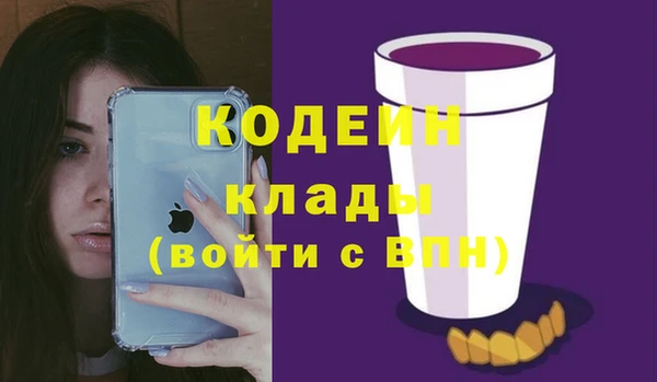 сатива Ельня