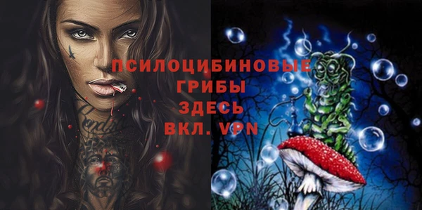 сатива Ельня