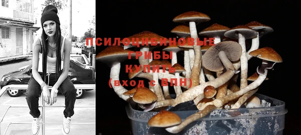 сатива Ельня