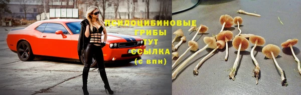 кокаин VHQ Заводоуковск