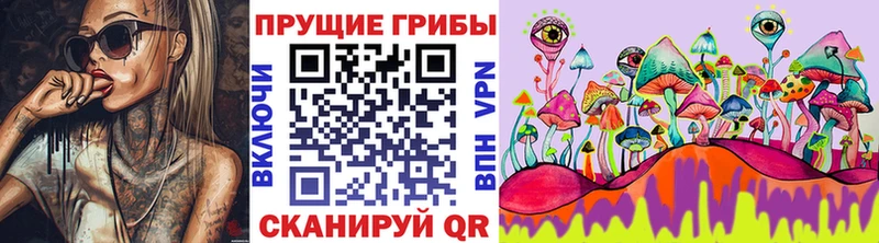 Купить где  Камень-на-Оби  Псилоцибиновые грибы GOLDEN TEACHER 